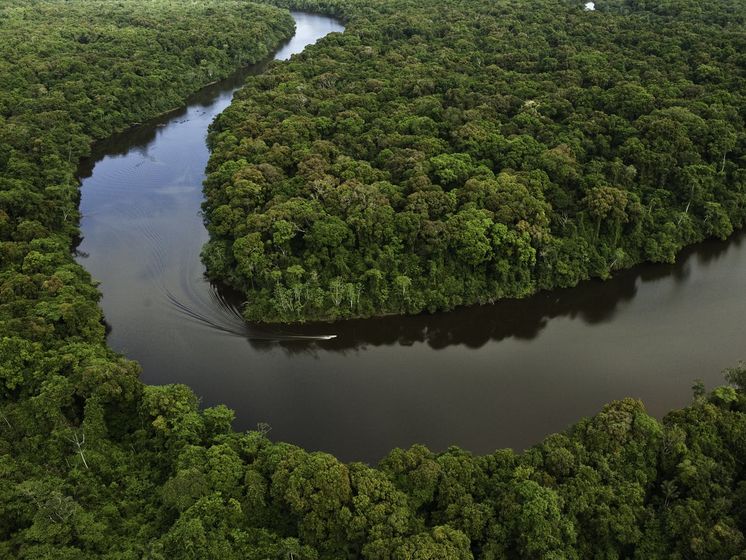 Женщина и трое ее детей потерялись в джунглях Амазонки, их нашли живыми спустя 34 дня