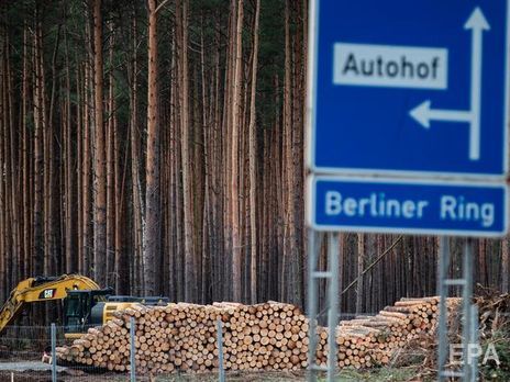 Суд разрешил Tesla продолжить вырубку леса под Берлином для строительства Gigafactory