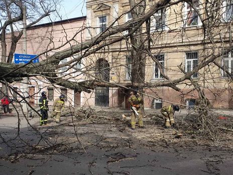 ﻿В Одесі сильний вітер повалив приблизно 200 дерев, одна людина загинула
