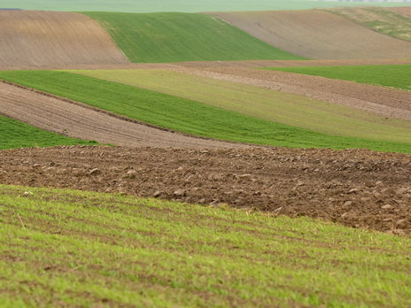 Мораторій на продаж землі в Україні діє з 2002 року