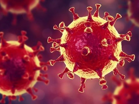 ﻿Українські вчені розробили першу партію експрес-тестів на коронавірус