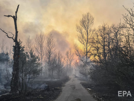 У зоні відчуження залишилося ще три осередки лісової пожежі