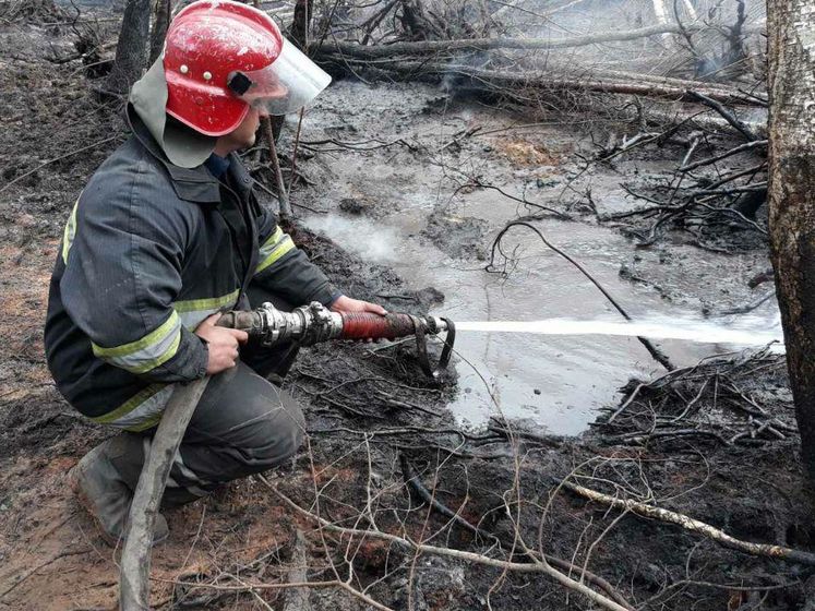 ﻿Пожежі в Житомирській та Київській областях. Рятувальники гасять окремі осередки тління