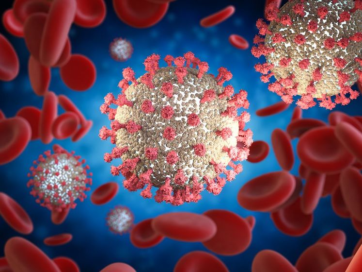 Ученые создали наиболее детализированную 3D-модель коронавируса. Видео