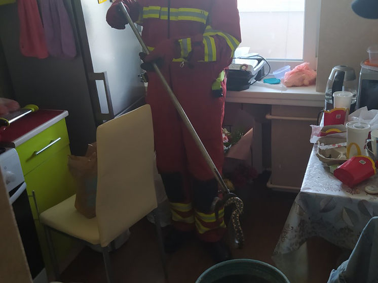 ﻿Дніпровські рятувальники впіймали змію у квартирі на сьомому поверсі