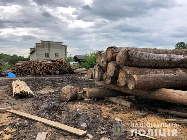 В Івано-Франківській області провели 14 обшуків через незаконне вирубування лісу