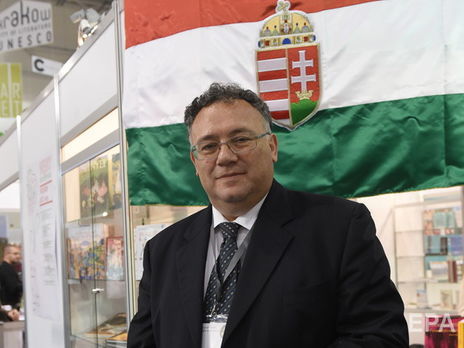 Посол Угорщини вважає, що його країна не бачить прогресу в забезпеченні прав національних меншин в Україні