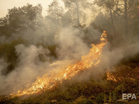 В США пылают почти 100 пожаров, погибли десятки людей