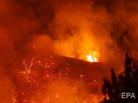Дым от пожаров в США достиг Европы – экологи