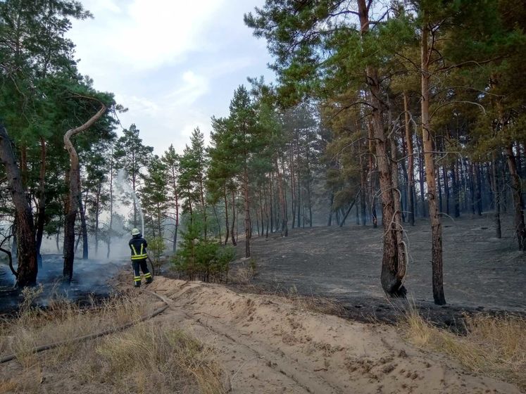 В Луганской области горел лес