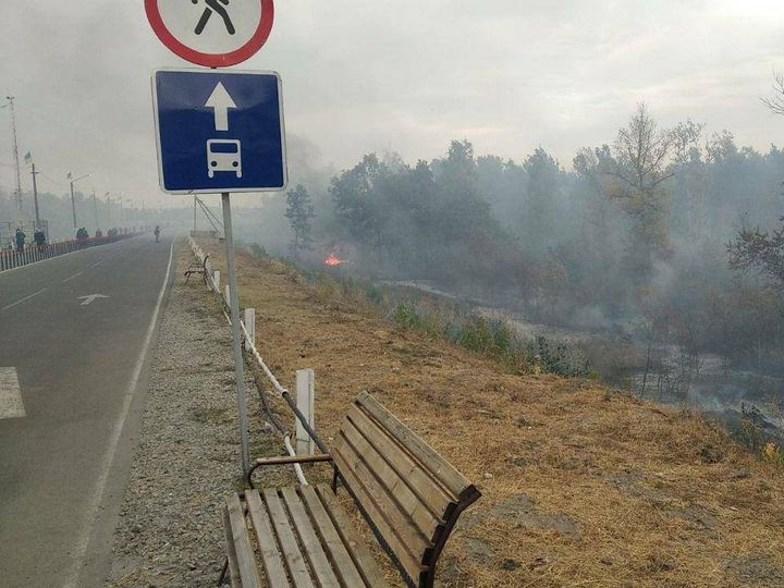 Через лісові пожежі на КПВВ "Станиця Луганська" сталася детонація боєприпасів – гуманітарна місія