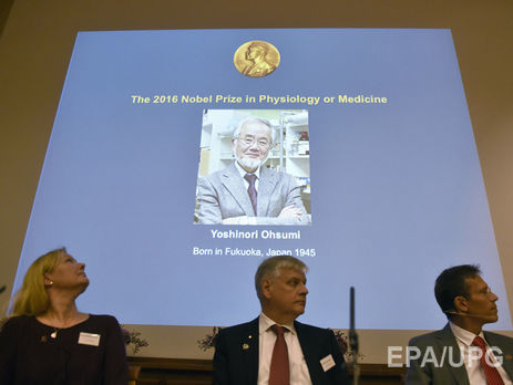 Нобелевскую премию по медицине присудили за изучение 