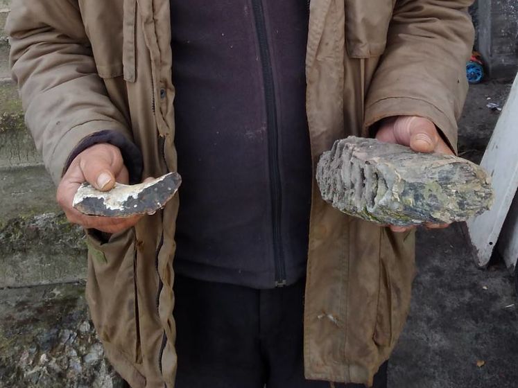 У Рівненській області знайшли зуб мамонта