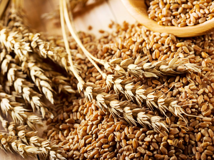 В Украине собранный урожай зерновых превышает потребности внутреннего рынка в три раза – Минэкономразвития