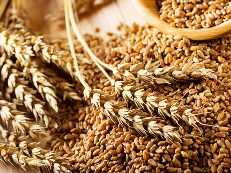 Украина поставила на внешние рынки 12,2 млн тонн пшеницы