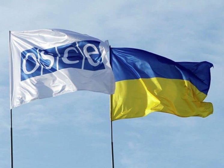 Из-за ранения тракториста на Донбассе в ОБСЕ направлена нота – украинская делегация в ТКГ