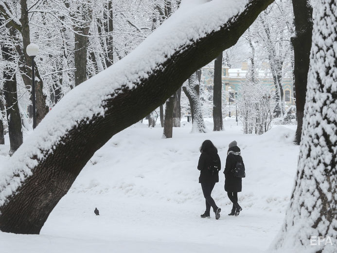 Сніг та хуртовини. Укргідрометцентр попередив про погіршення погоди і морози 7–8 лютого