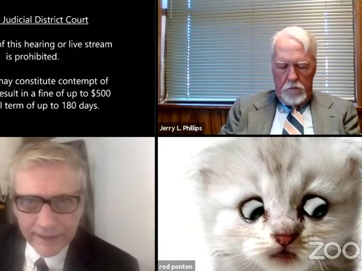 "Я онлайн, и я не кот". В Техасе адвокат случайно подключился к заседанию суда в Zoom с фильтром кота. Видео