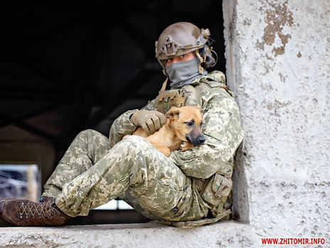В Житомире десантники сфотографировались с бездомными животными. Фоторепортаж