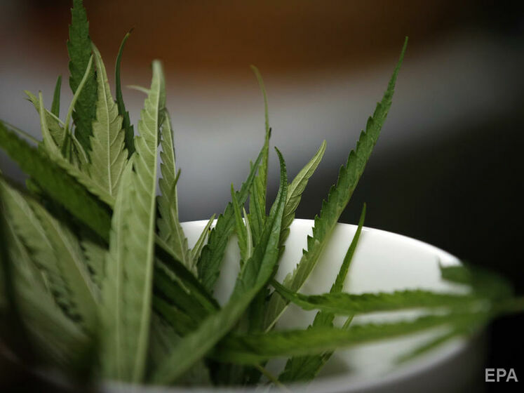 Еще один штат США решил легализовать марихуану, но с 2024 года