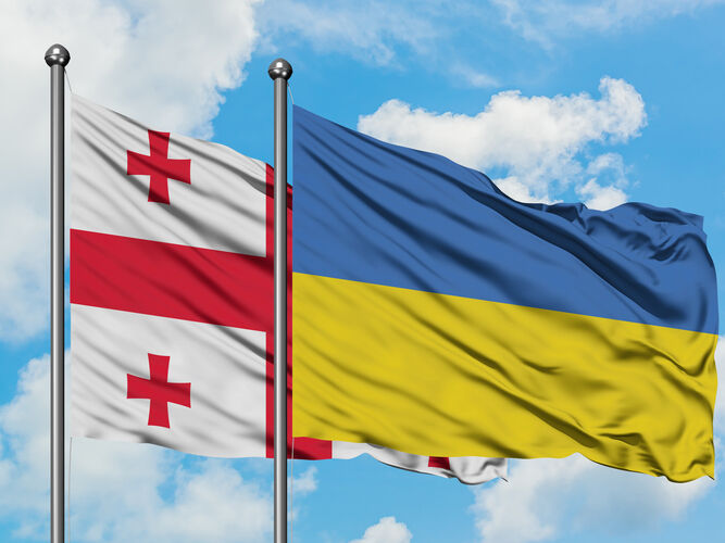 Рішення про повернення посла до Києва буде ухвалено незабаром – МЗС Грузії