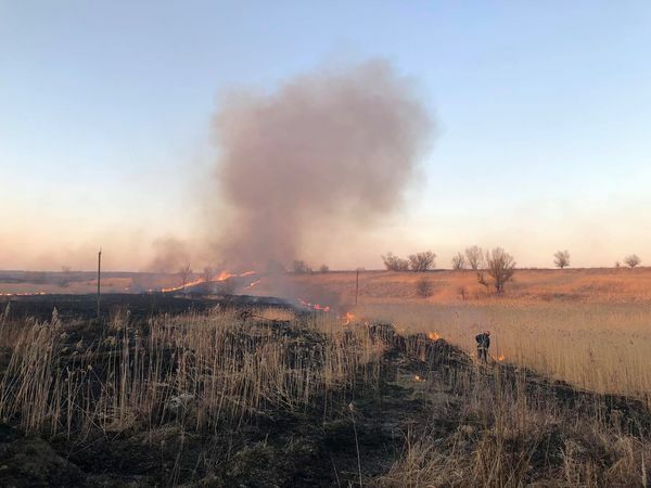 Во Львовской области из-за поджога сухой травы сгорело три автобуса