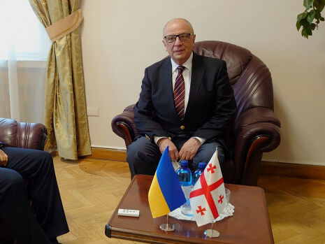 Відкликаний майже рік тому посол Грузії повернувся в Україну