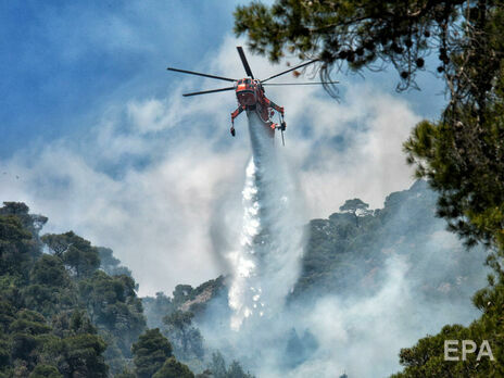 В Греции уже несколько дней горят леса. Пожар называют самым масштабным за последние 20–30 лет