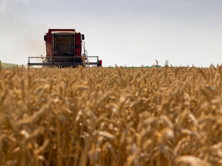 Названы самые рентабельные отрасли Украины, в лидерах – аграрии