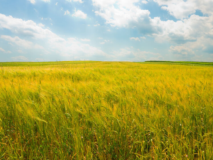 Міністр агрополітики розповів, як зростатиме ціна на землю в Україні