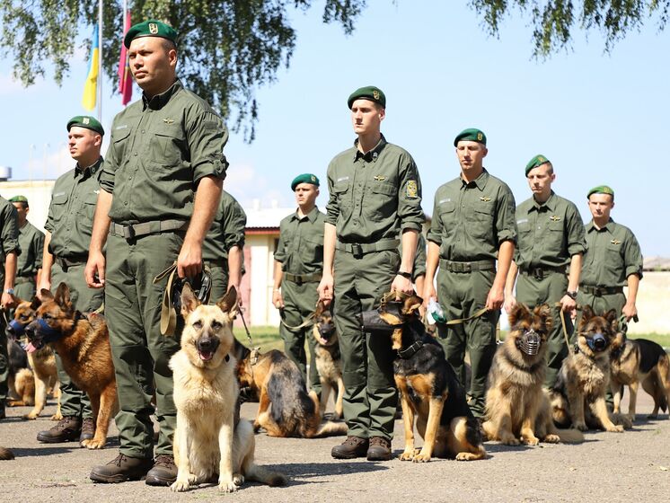 Прикордонні собаки вперше братимуть участь у параді до Дня Незалежності – Держприкордонслужба України