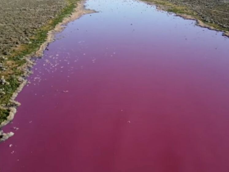 В Аргентині лагуна забарвилася в рожевий колір. Відео