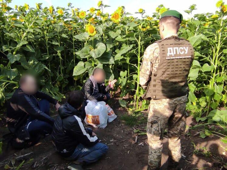 "Прятался в подсолнухах". Украинские пограничники задержали "вора в законе" из РФ