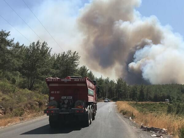 Лісові пожежі в Туреччині поширилися на кілька провінцій. Вогонь наближається до курортів