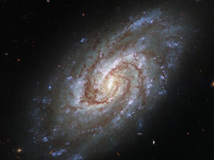 Hubble сфотографував спіральну галактику в сузір'ї Годинник