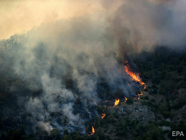 У Туреччині загорівся ліс поблизу міжнародного аеропорту