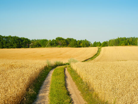 Мораторий на продажу земель сельскохозяйственного назначения был введен в Украине в 2001 году