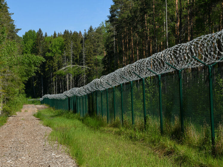 Литва до кінця року побудує 100 км паркану з колючим дротом на кордоні з Білоруссю