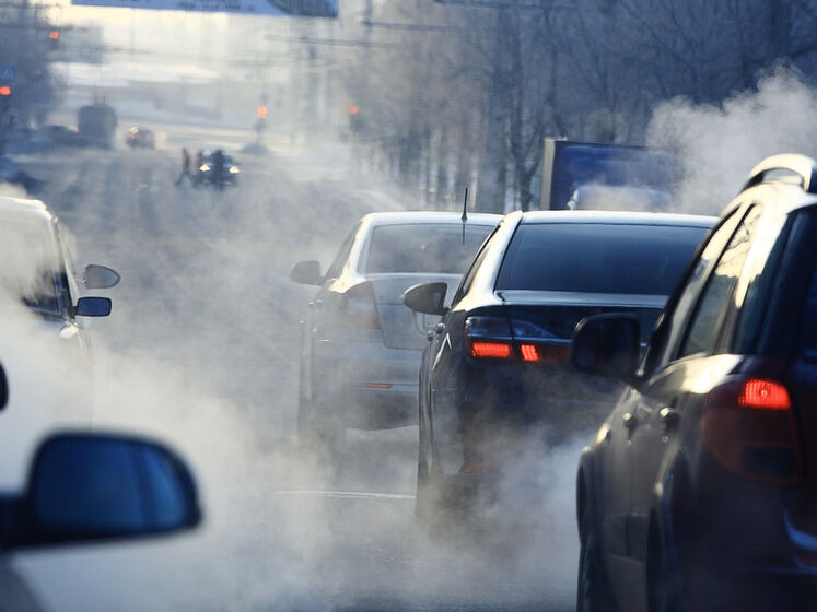 Медики: У Києві зростає кількість алергіків, причина – у викидах автомобілів