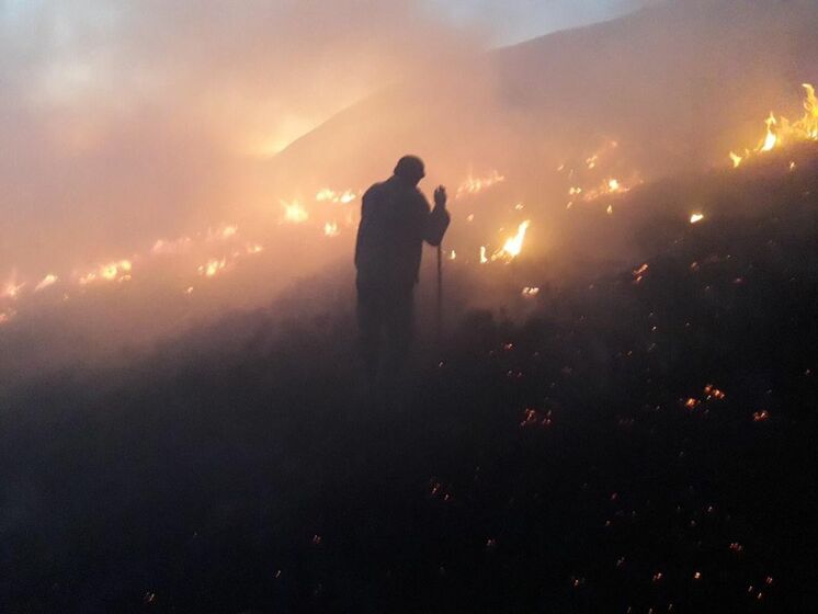 Пожар в Карпатах тушили более 100 спасателей и лесников