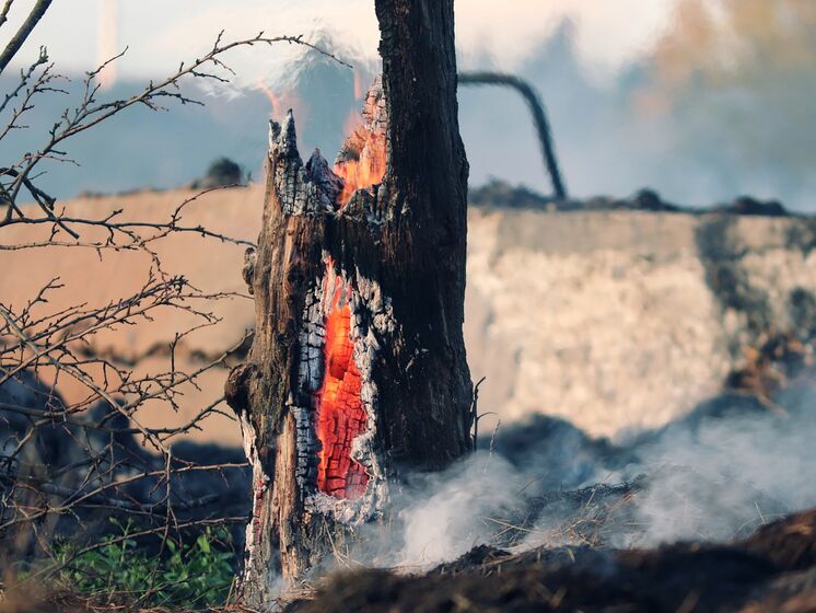 У Нігері спалахнула пожежа у школі із соломи, загинуло 26 дітей