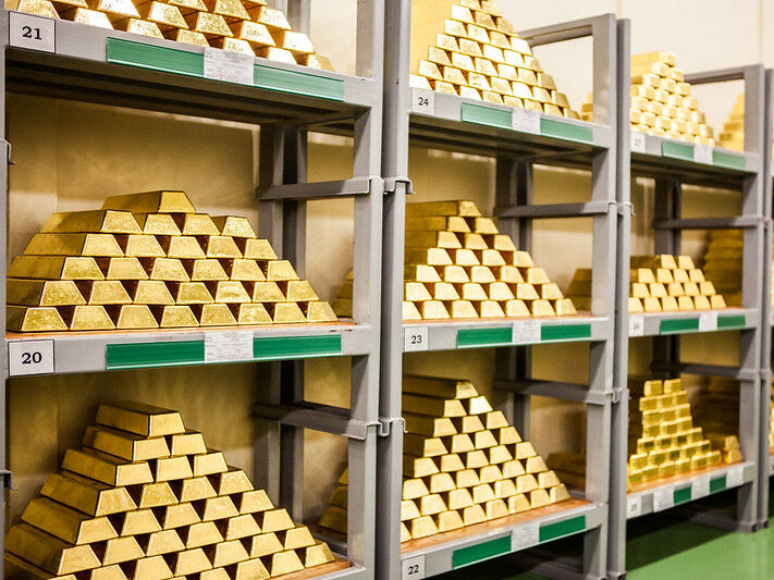 Розмір золото-валютних резервів сягнув $30 млрд – Зеленський