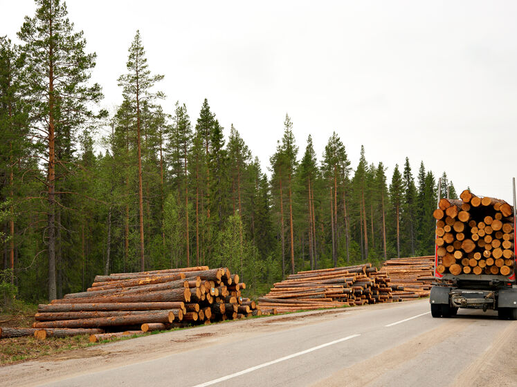 Скасування мораторію на експорт деревини залишить без сировини українських виробників – Федерація роботодавців України
