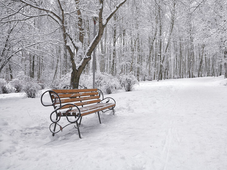 В Україні 9 січня прогнозують сніг – синоптикиня
