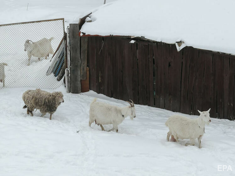 Укргідрометцентр попередив про погіршення погоди у низці областей України 30–31 січня