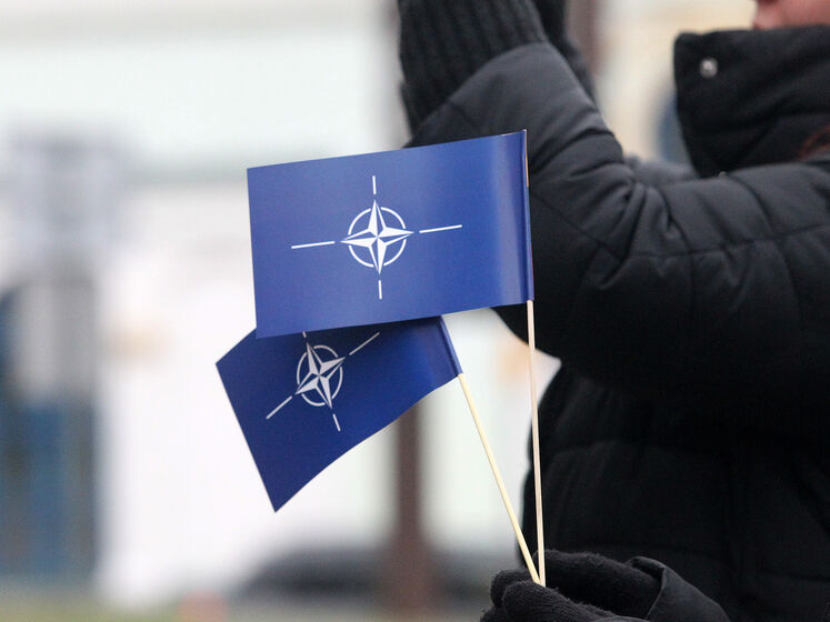 Проведение в Украине референдума по НАТО – это очень опасно – социолог