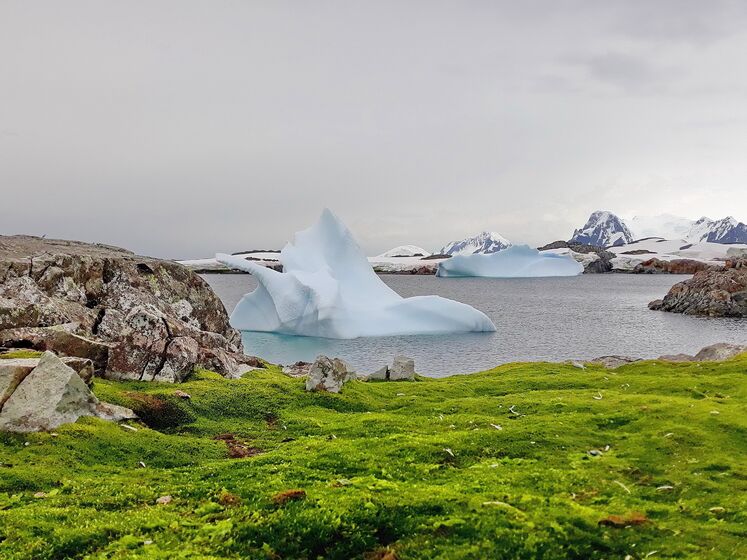 В Антарктиде на станции "Академик Вернадский" зафиксировали температурный рекорд