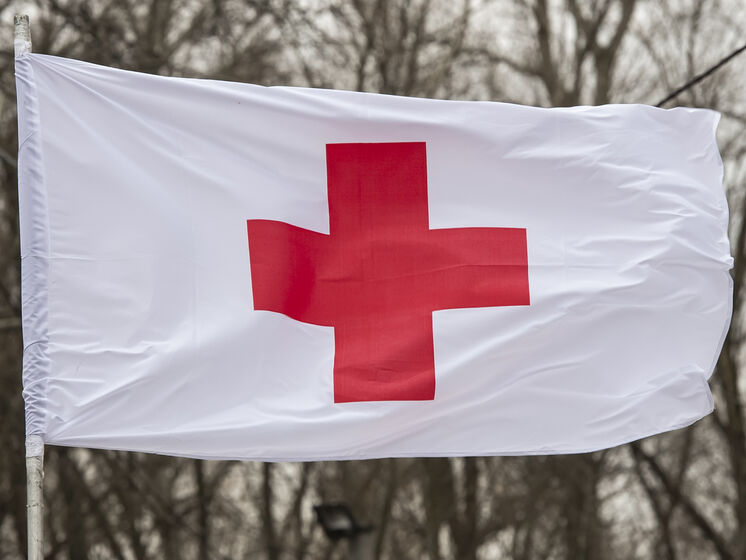 У Раді та Мінреінтеграції вважають неприйнятним намір Червоного Хреста відкрити офіс у Ростові