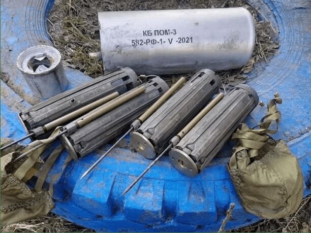 Оккупанты минируют Харьковскую область запрещенными противопехотными минами "Медальон" – омбудсмен