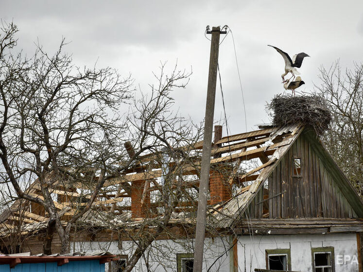 Українці подали через "Дію" понад 100 тис. заявок про знищене та пошкоджене майно